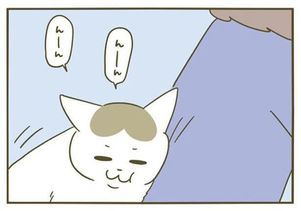 すごいくっついてくるな 3日間だけ離れて過ごしたら うちの猫がまた変なことしてる 5 5 レタスクラブ