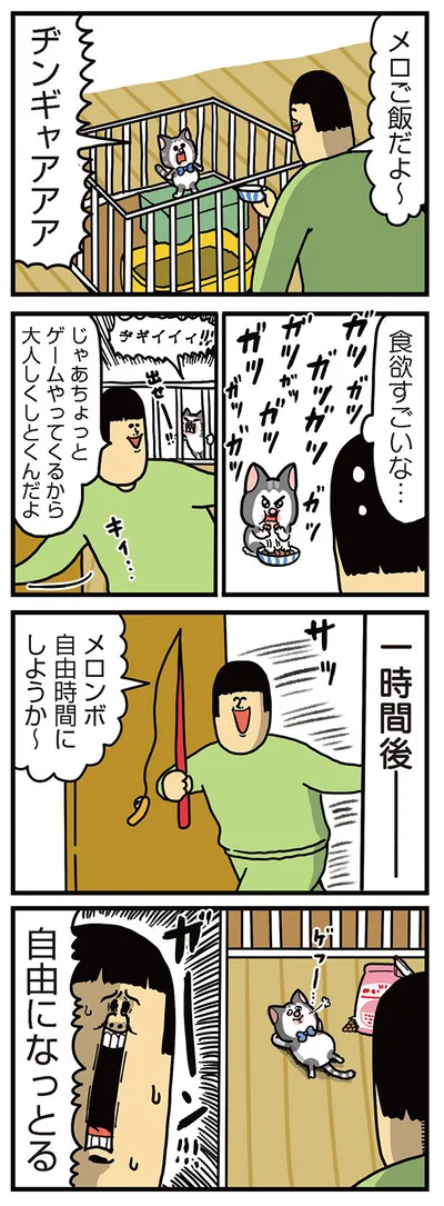 自由になっとる