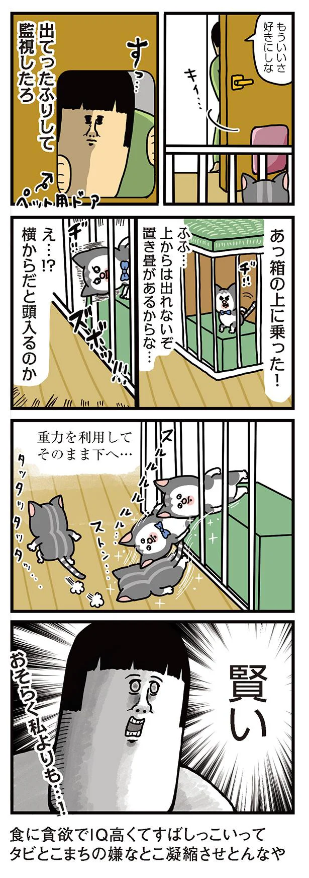 監視したろ