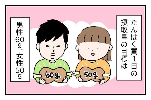 たんぱく質の1日の摂取量は男性60g、女性50gが目標