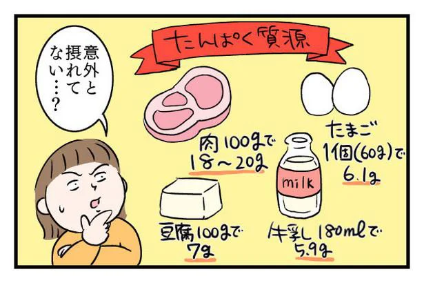 たんぱく質源と呼ばれる食材から摂れるたんぱく質は意外と少ない…？