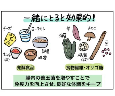 発酵食品と食物繊維・オリゴ糖