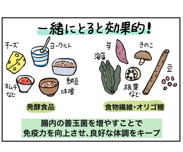 発酵食品と食物繊維・オリゴ糖