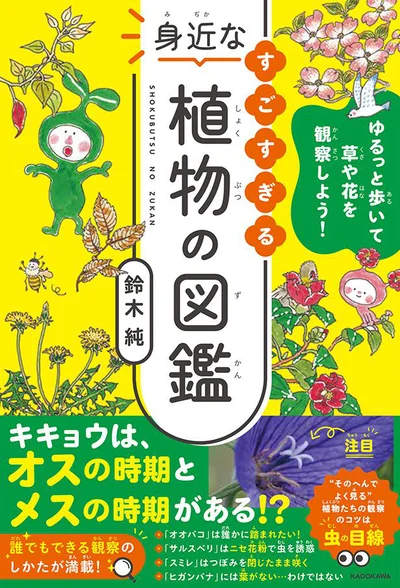 そばにあるのに意外と知らない よく見る草や木・野菜のふしぎを観察！『ゆるっと歩いて草や花を観察しよう！ すごすぎる身近な植物の図鑑』