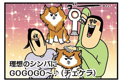理想のシンバにGOGOGO〜♪