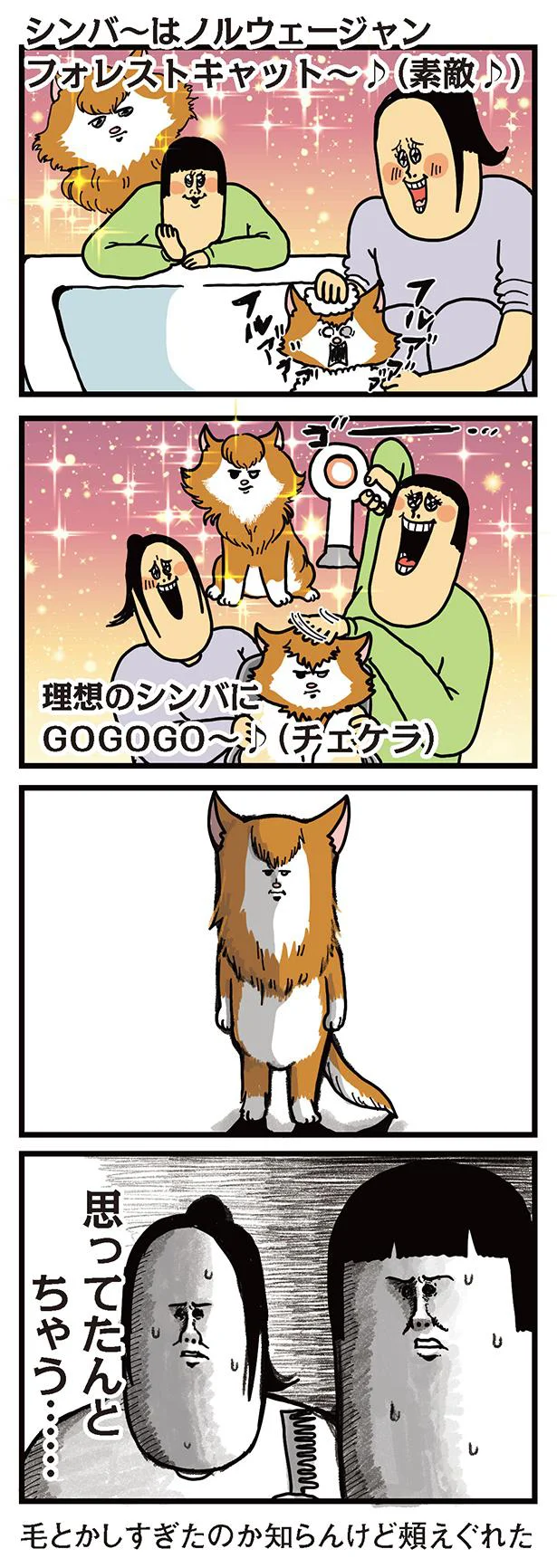 思ってたのと違う…？ 拾い猫がノルウェージャンと気づいた日／まめきち
