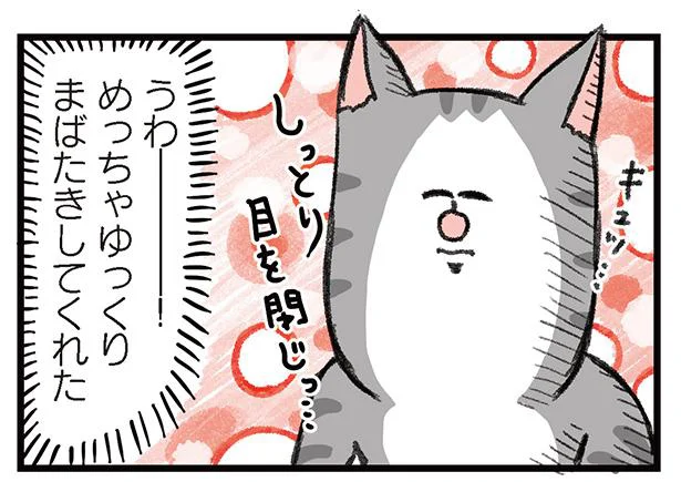 いつもポジティブシンキング 猫からの愛情表現を受けたと思ったら まめきちまめこニートの日常 こまちとタビ2 10 画像1 9 レタスクラブ