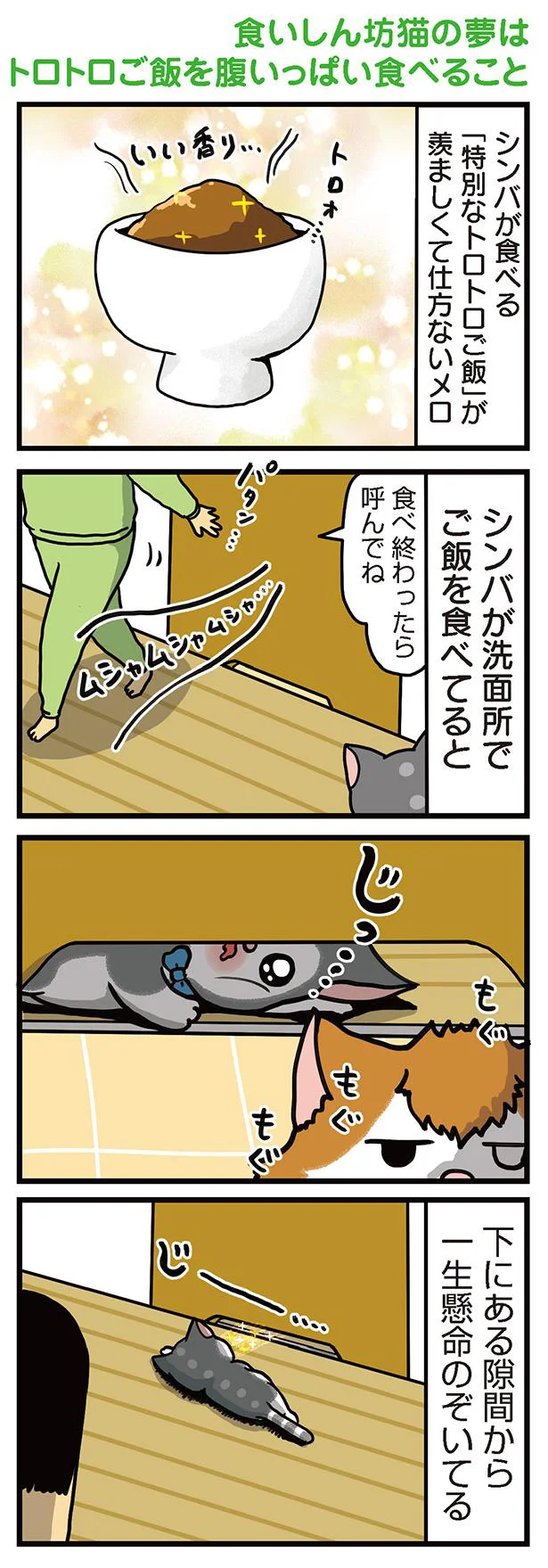 食いしん坊猫の夢はトロトロご飯をお腹いっぱい食べること