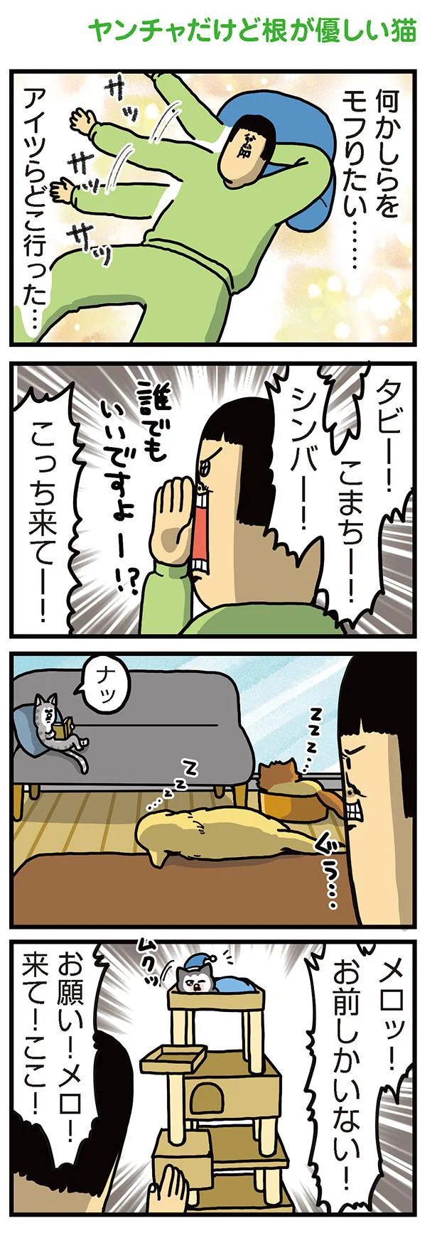 ヤンチャだけど根が優しい猫