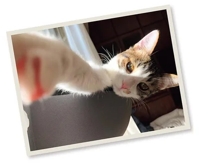 優しいメロ