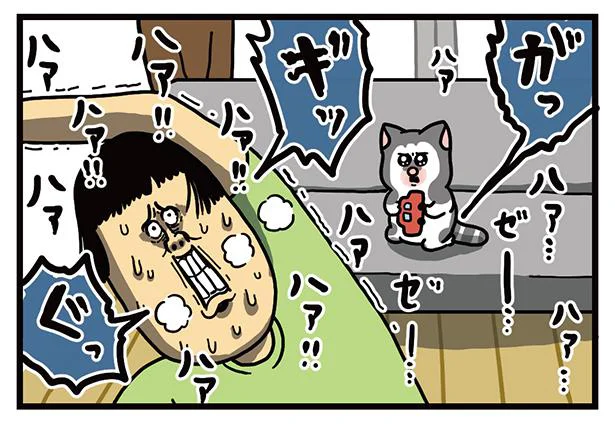 なぜ目をそらす…？ 健康を意識して家ヨガを始めたよ／まめきちまめこニートの日常 こまちとタビ3（4）