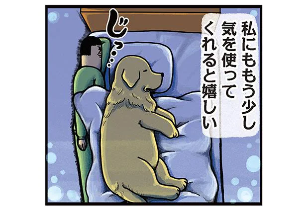 気が遣える優しいうちの子。でも私にも少しくらいは気遣ってほしい／まめきちまめこニートの日常 こまちとタビ3（6）