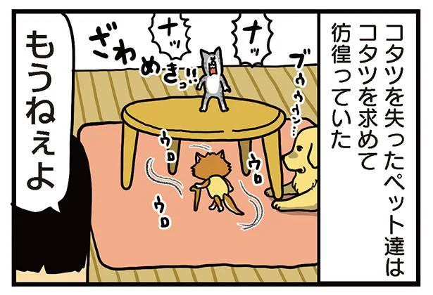 コタツを失い彷徨うペット達