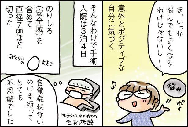 直径7cmほど切った