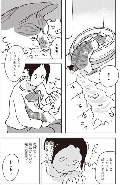 『ポッケの旅支度』より
