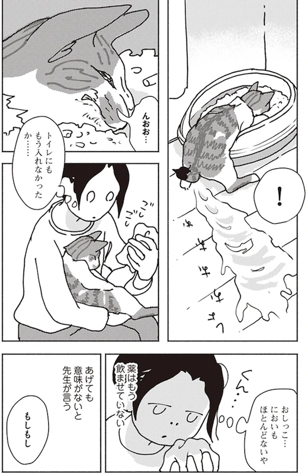 『ポッケの旅支度』より