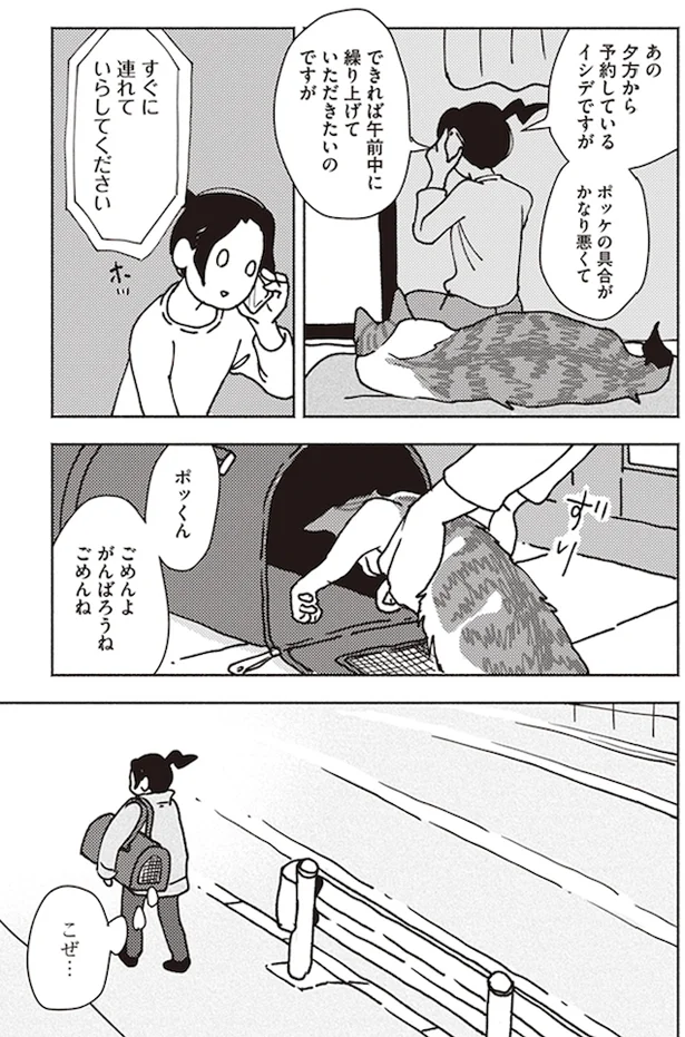 『ポッケの旅支度』より