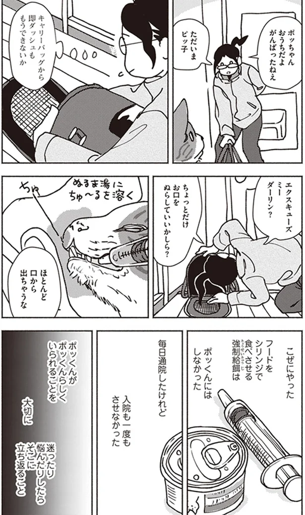 『ポッケの旅支度』より