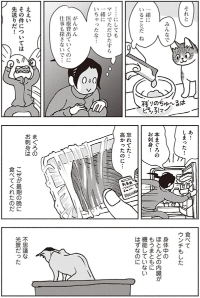 『ポッケの旅支度』より
