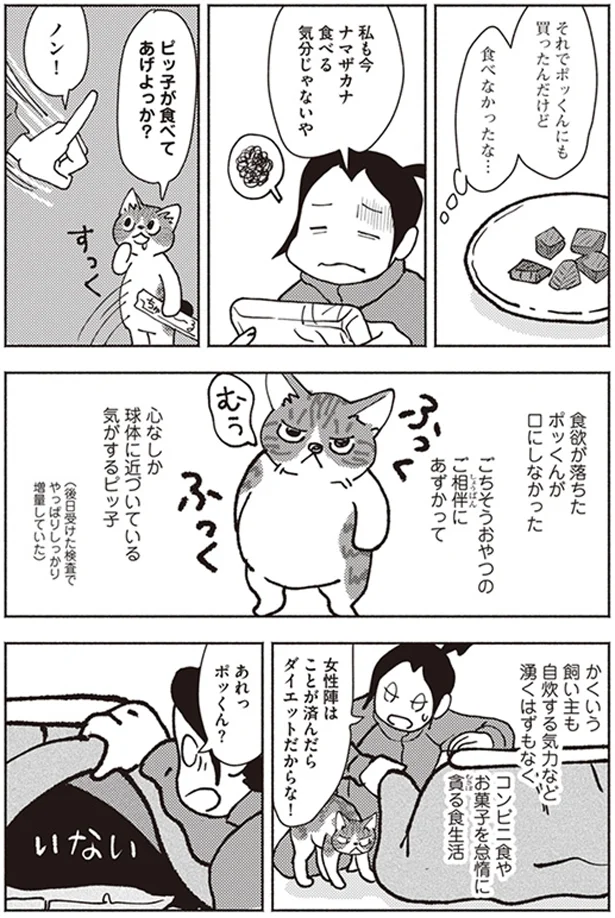 『ポッケの旅支度』より