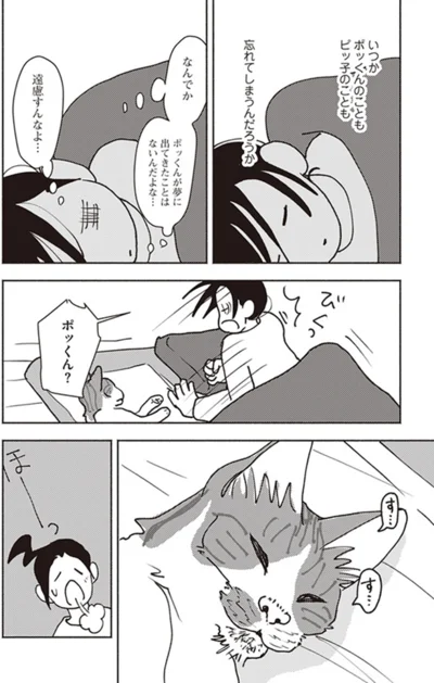 『ポッケの旅支度』より