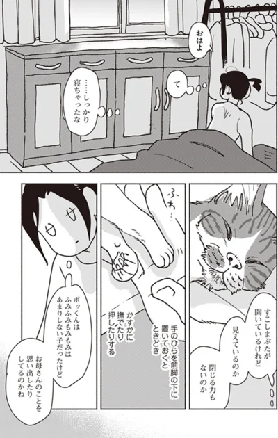 『ポッケの旅支度』より