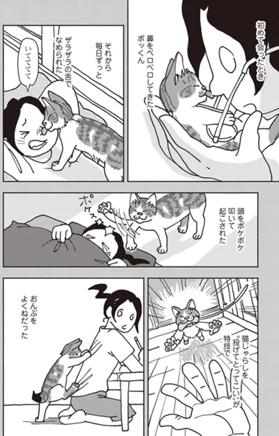 『ポッケの旅支度』より