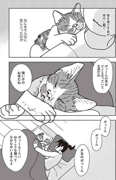 『ポッケの旅支度』より