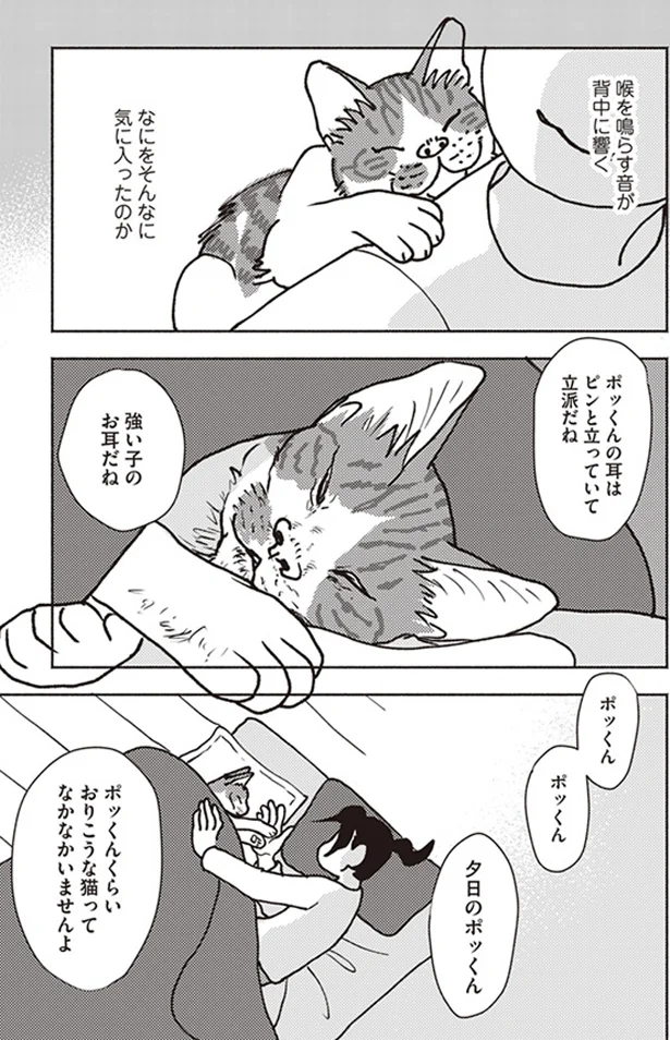 『ポッケの旅支度』より