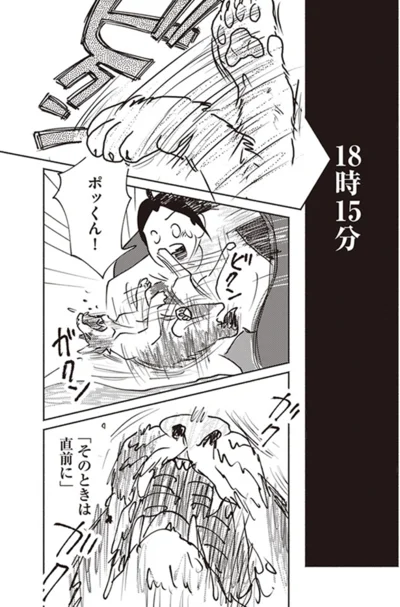 『ポッケの旅支度』より