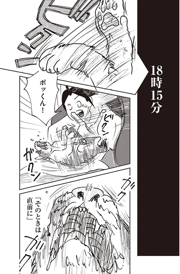 『ポッケの旅支度』より
