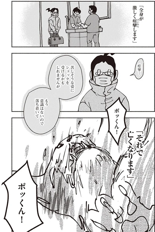 『ポッケの旅支度』より