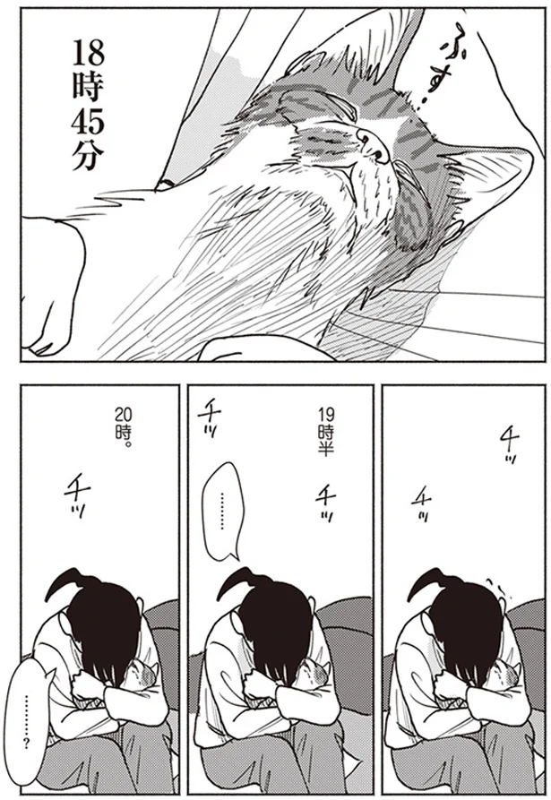 『ポッケの旅支度』より