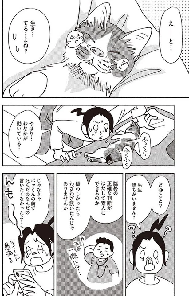 『ポッケの旅支度』より
