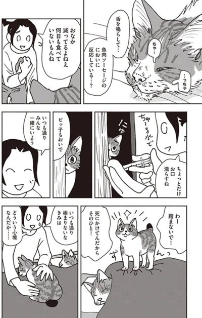 『ポッケの旅支度』より
