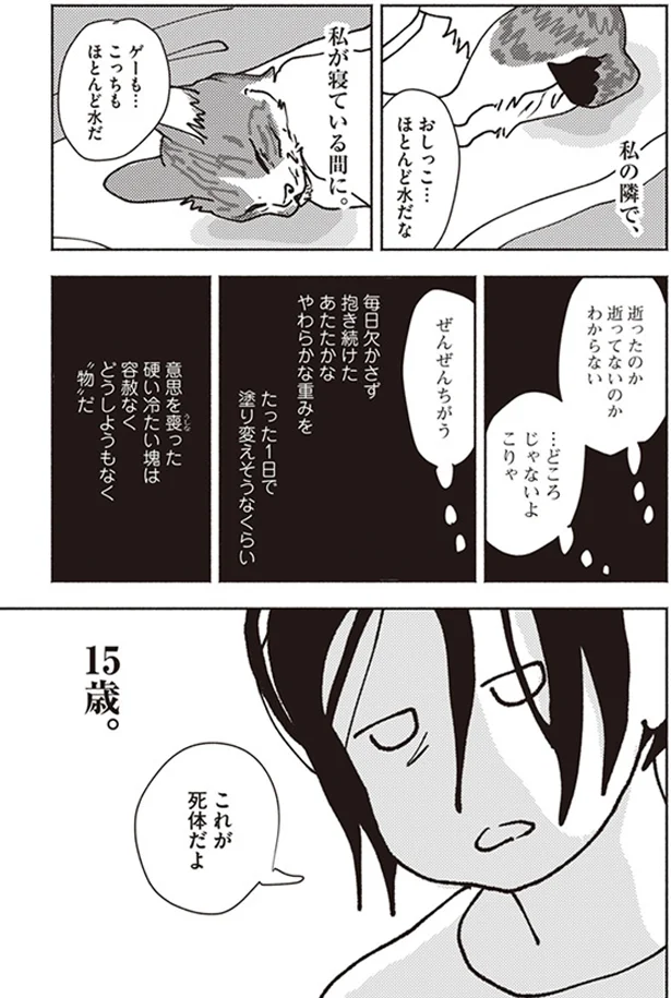 『ポッケの旅支度』より