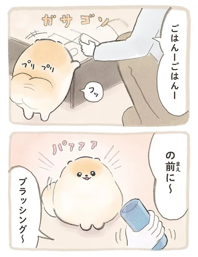 ごはんーの前に〜