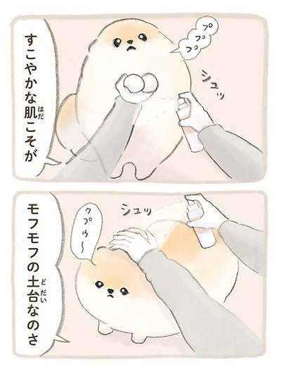 すこやかな肌こそが