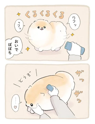 おいで