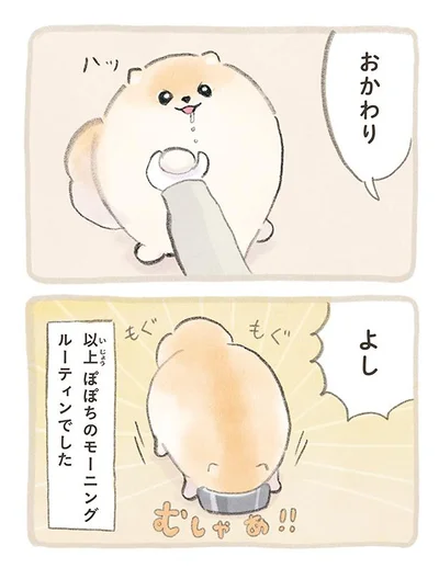以上ぽぽちのモーニングルーティンでした
