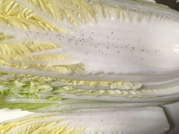 芯部分、捨てるなんてもったいない！旬到来の白菜のこんな知識知ってた？