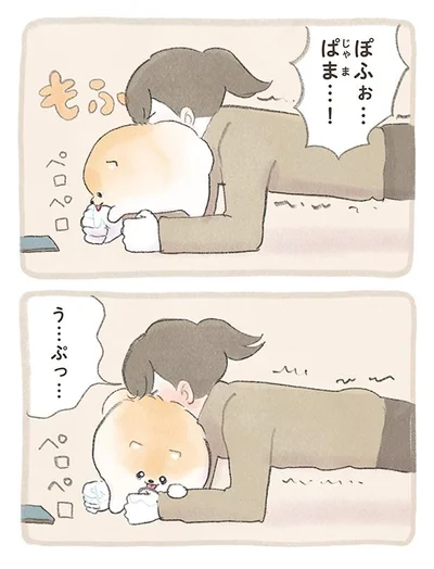 ペロペロ
