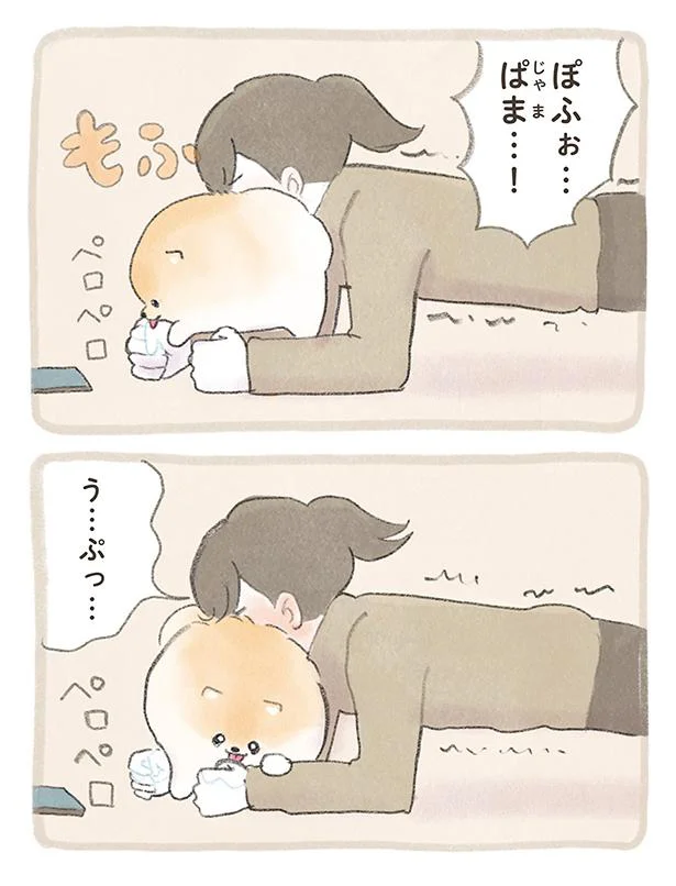ペロペロ