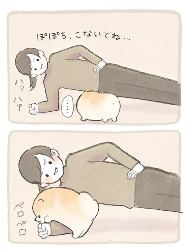 ぽぽち、こないでね…