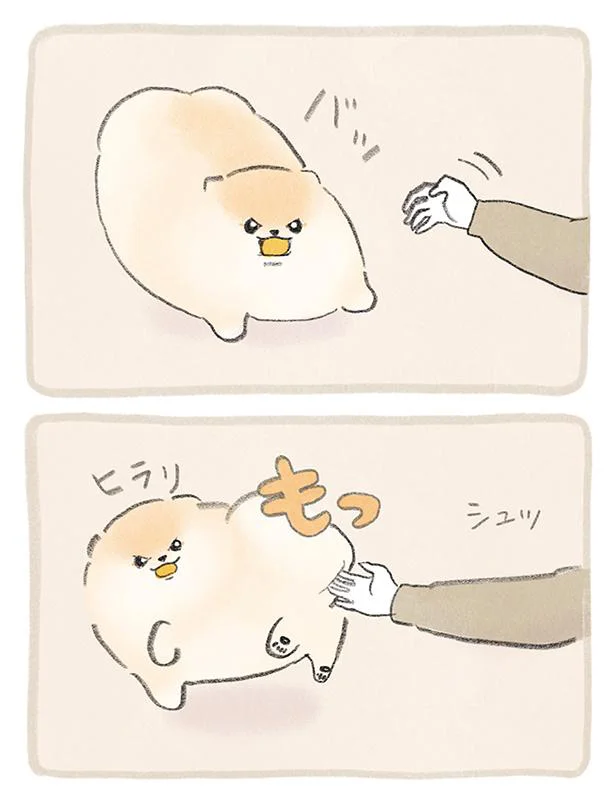 もっ
