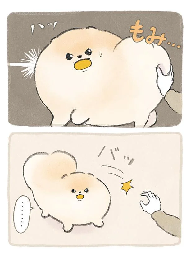 もみ…