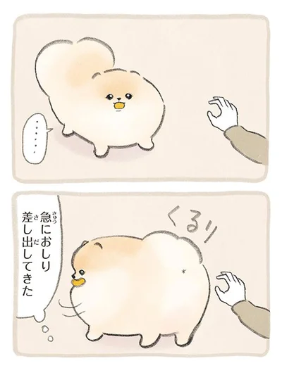 急におしり差し出してきた