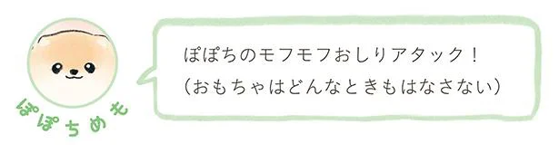 ぽぽちのモフモフおしりアタック！