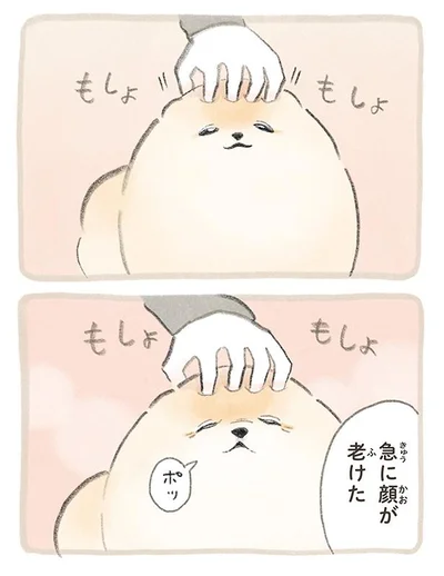 急に顔が老けた