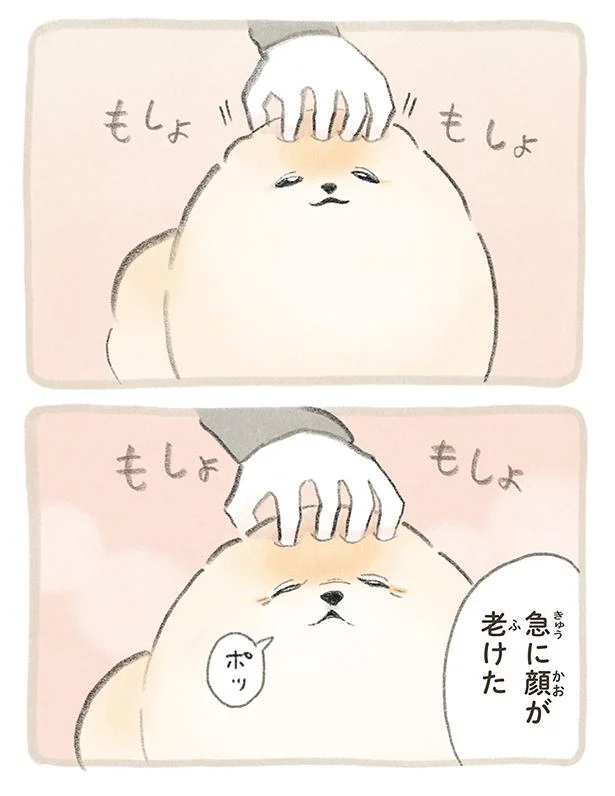 急に顔が老けた